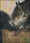 (image for) A New Friend - AM